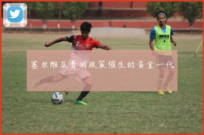 塞尔维亚青训政策催生的黄金一代