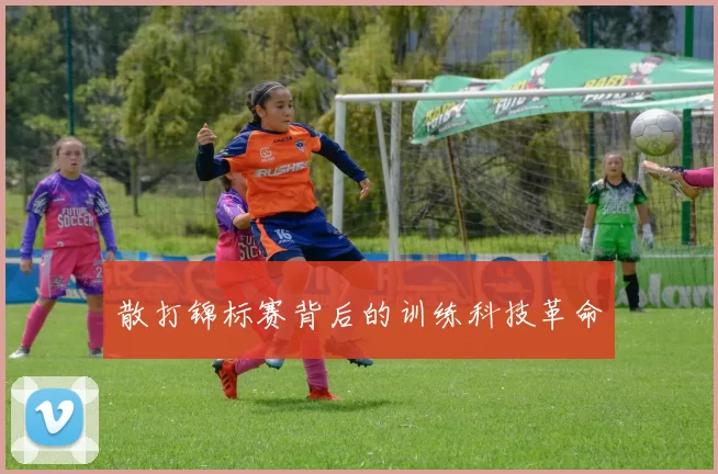 散打锦标赛背后的训练科技革命